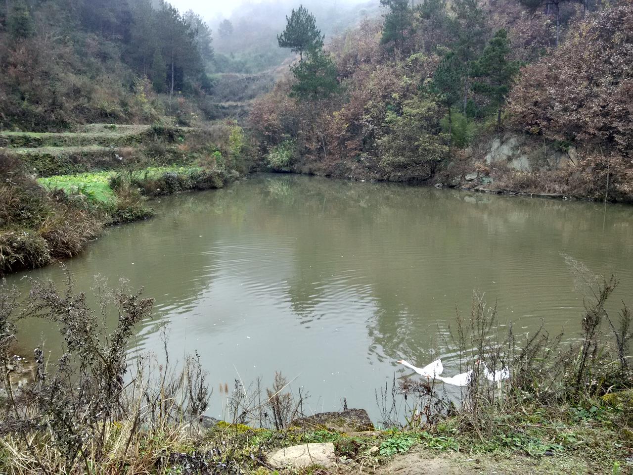 小魏家沟水库