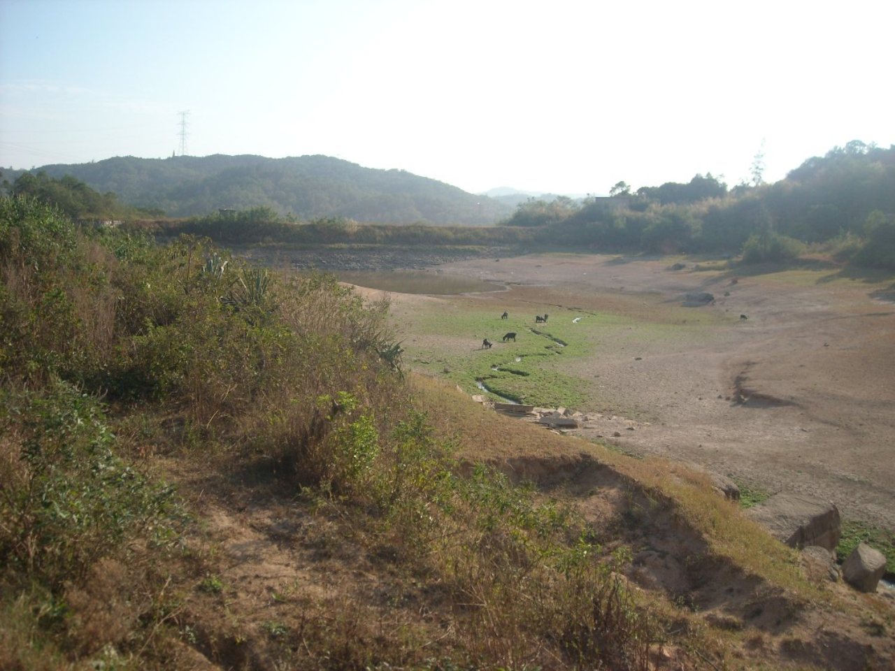 小桥水库