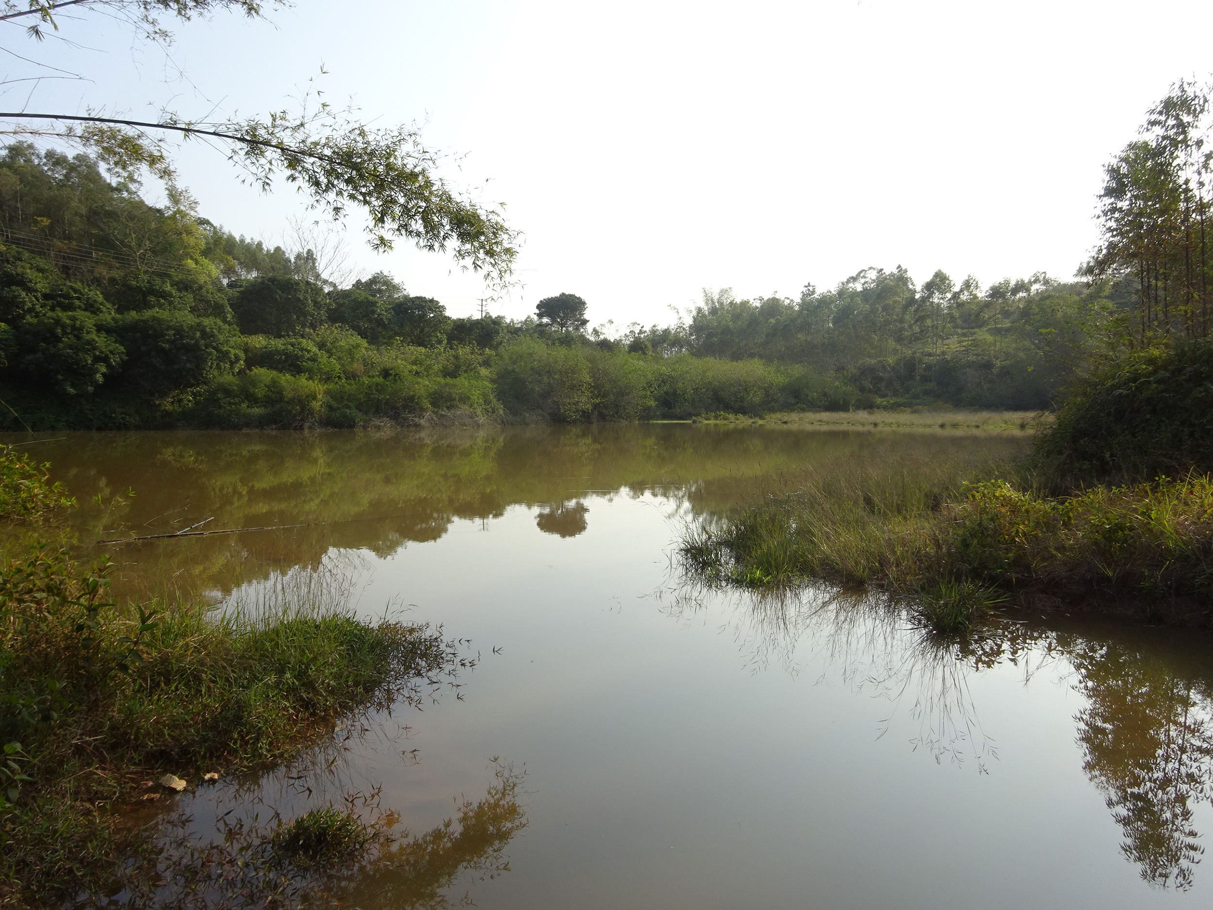 竹根塘水库