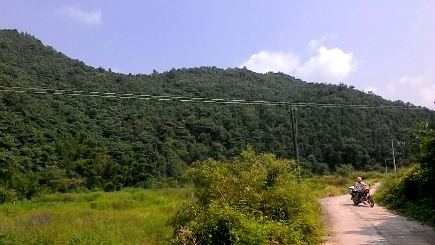 大山脑生态旅游区