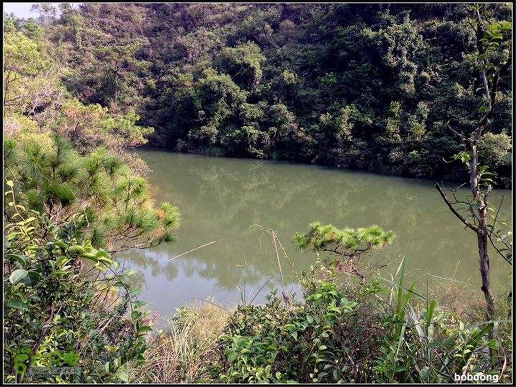 金塘湾水库