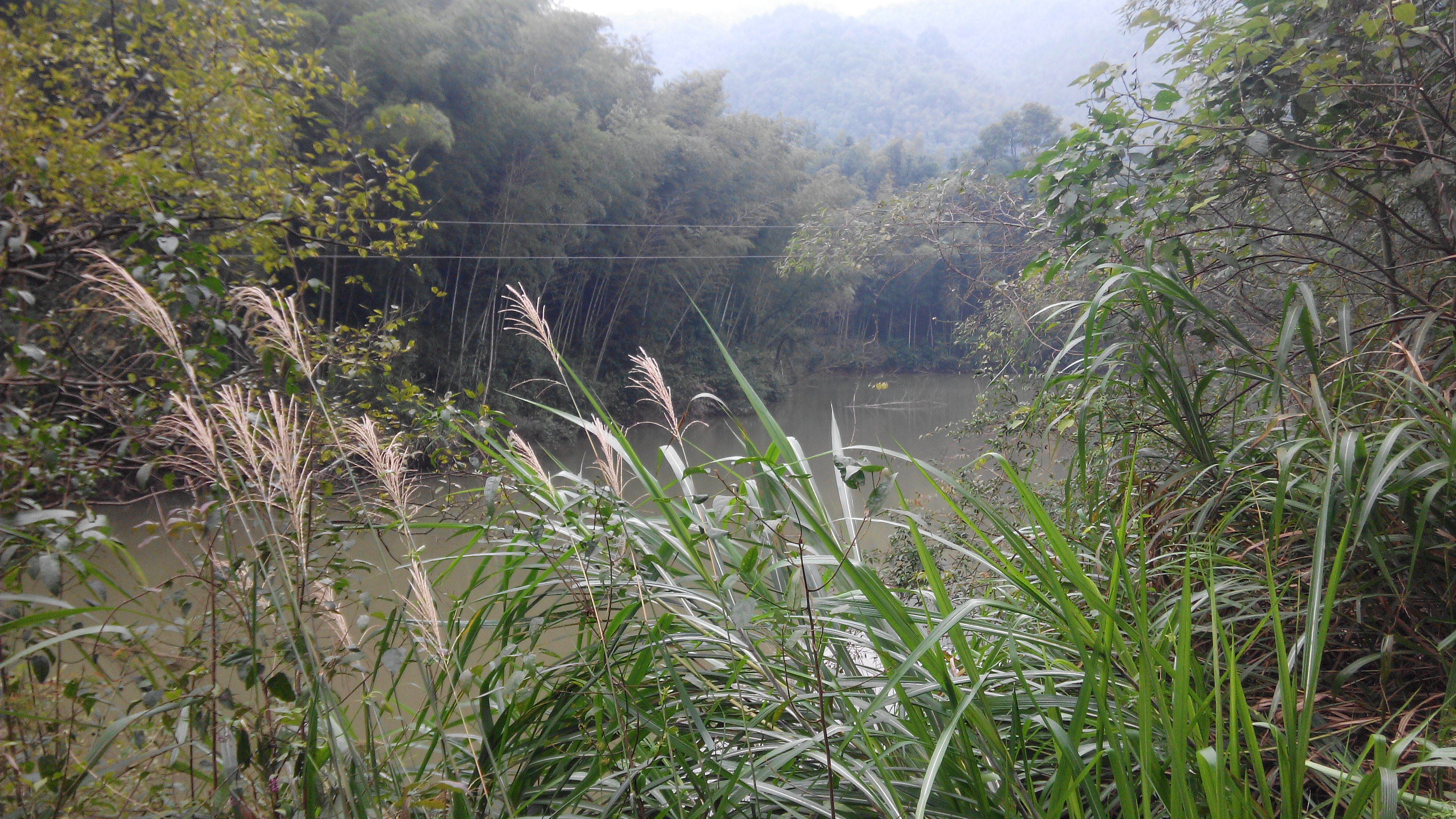 鸭子前水库