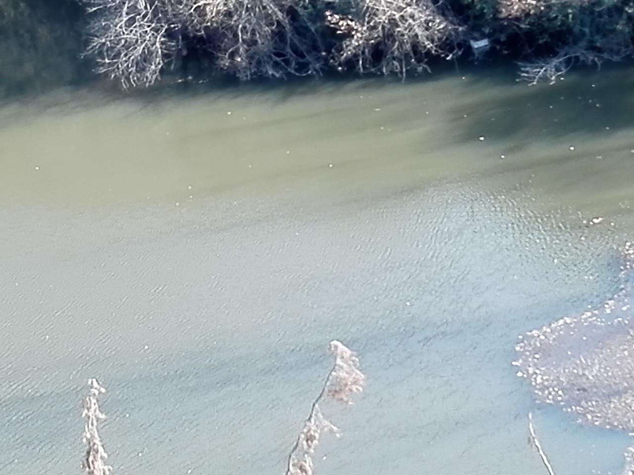 茅草坪水库