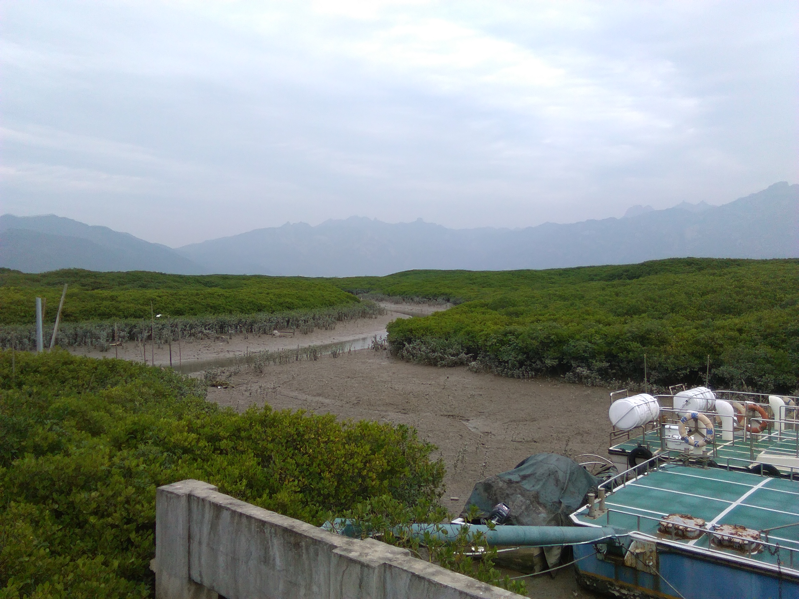 福建漳江口红树林国家级保护区