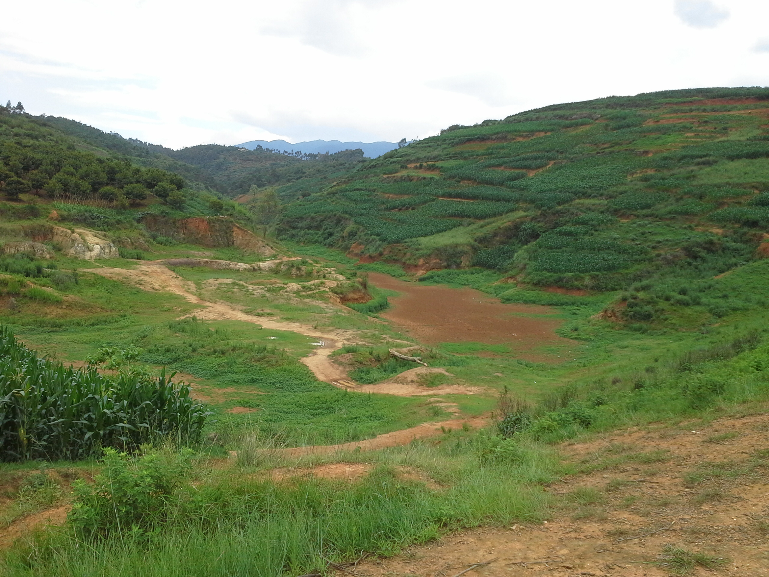 苗家营小山水库