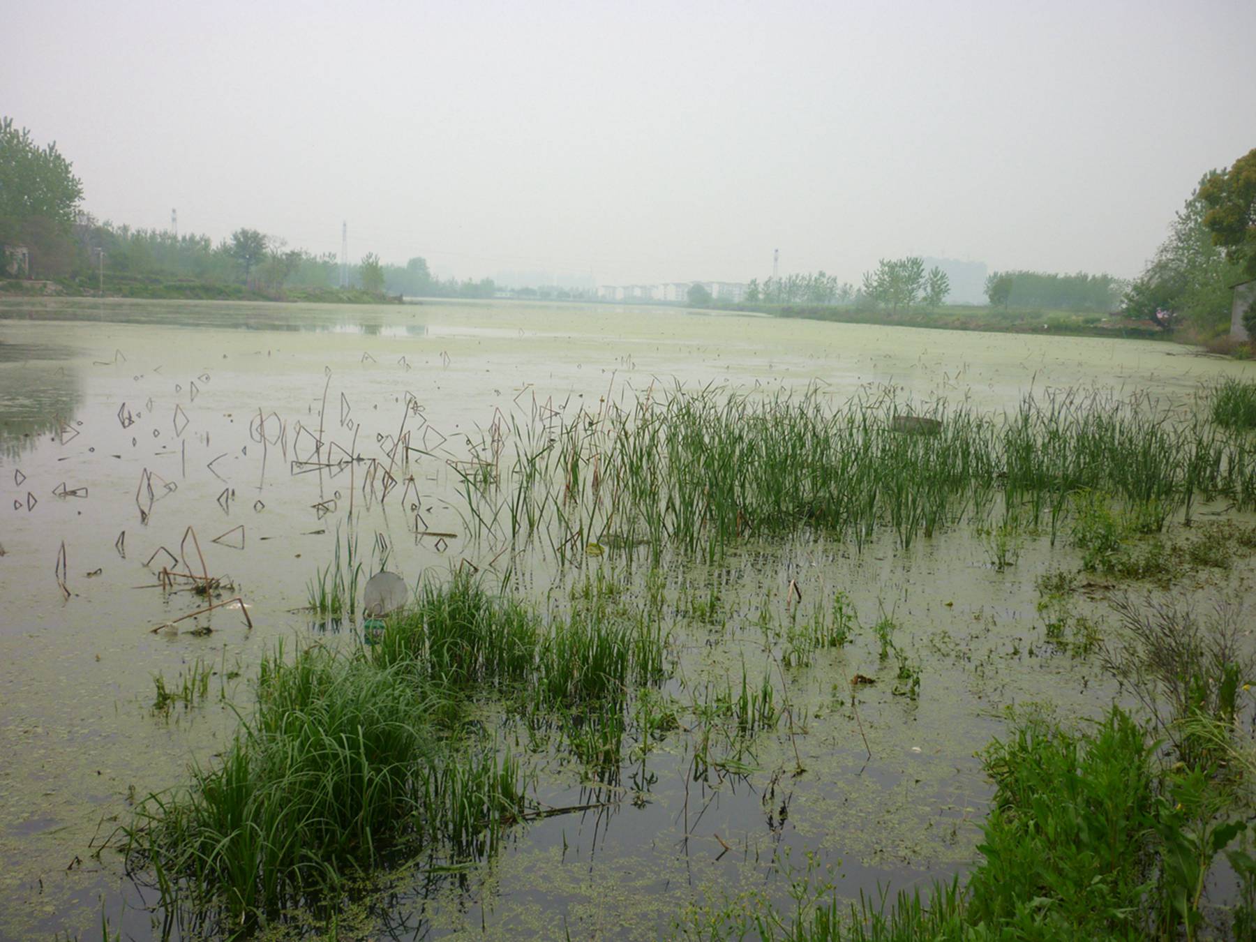 项家汊湖