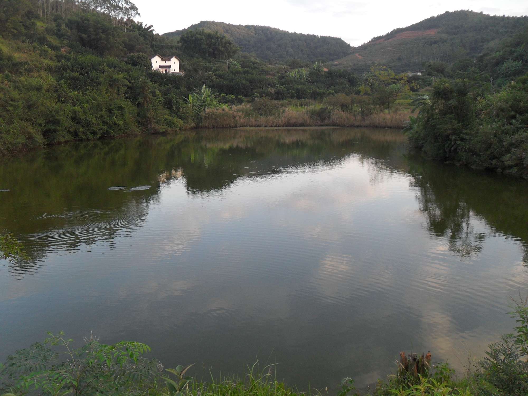 深塘坑水库