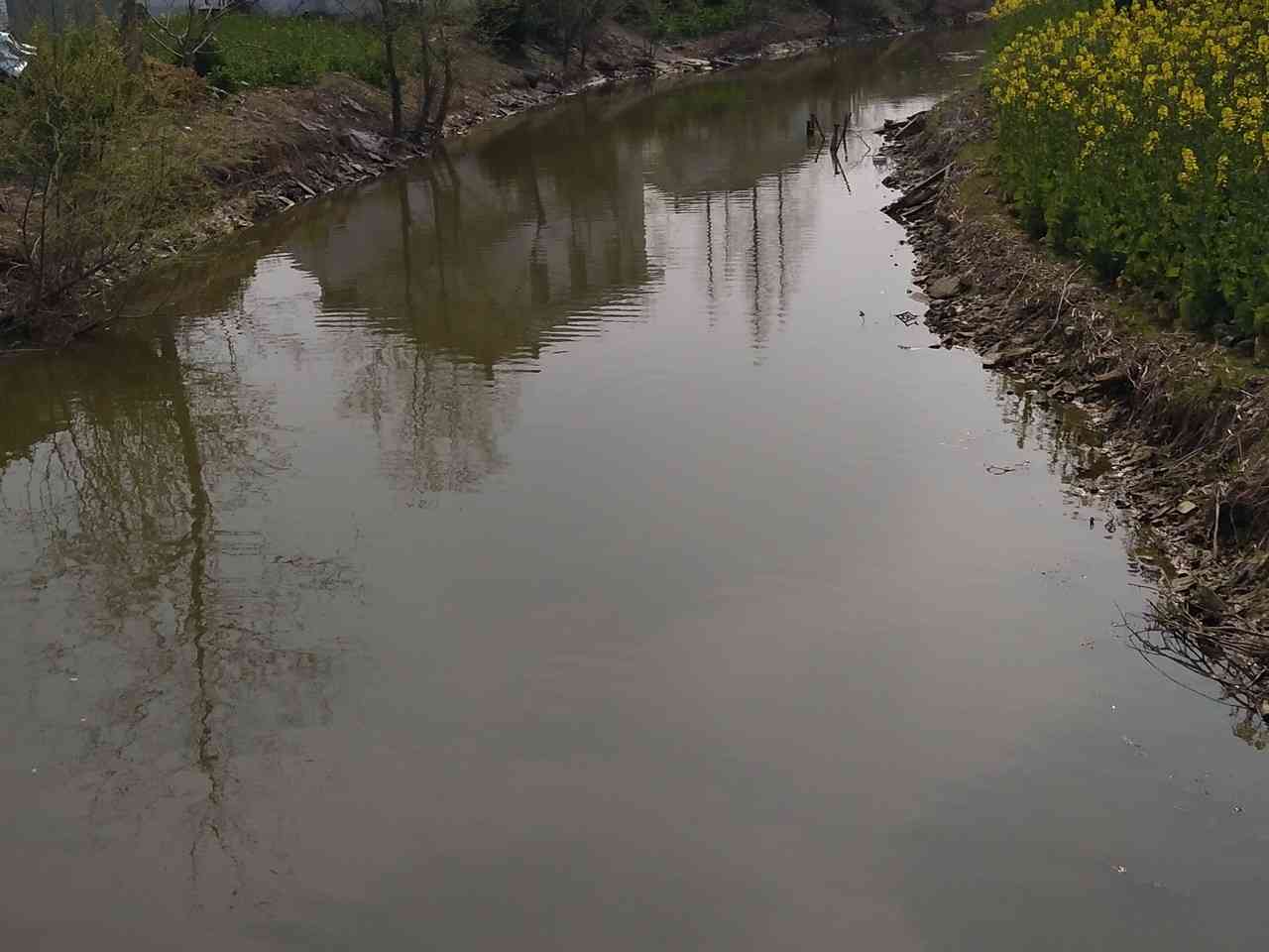 圩中村中沟