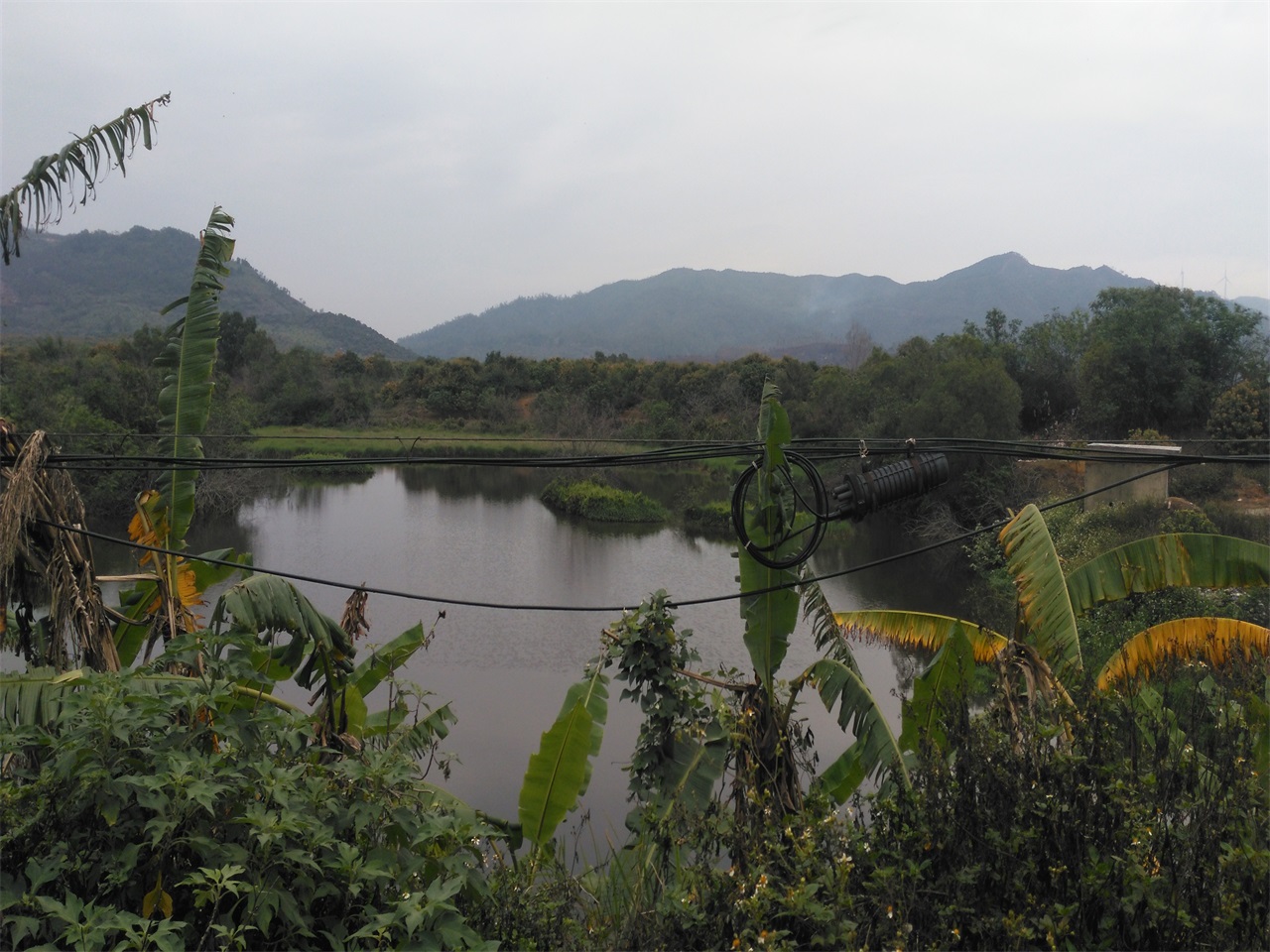 两鱼陂水库