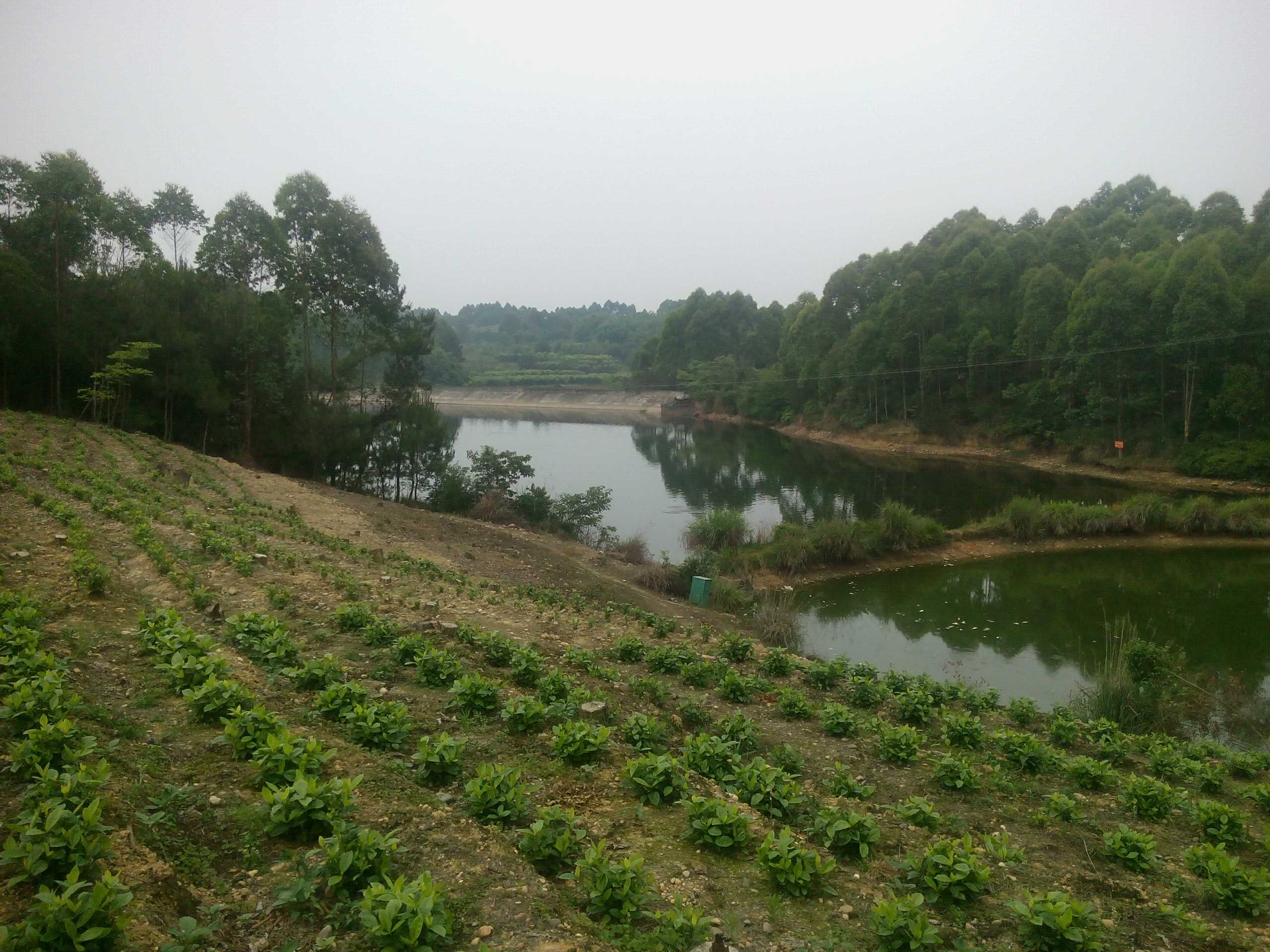 回龙水库