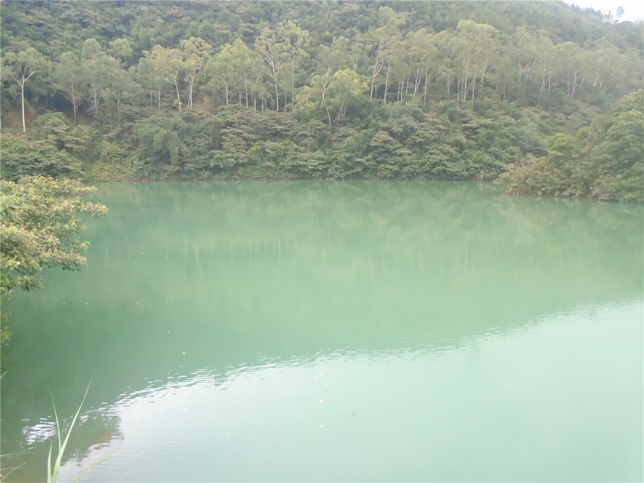 古龙峡漂流副坝水库