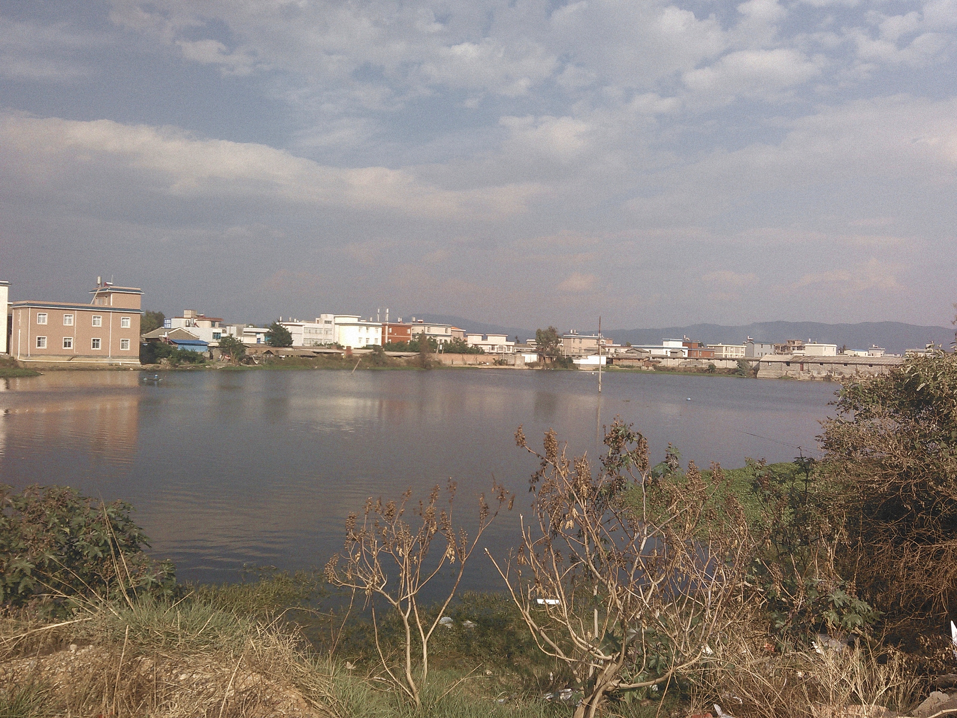 小桥飞蜓海水库