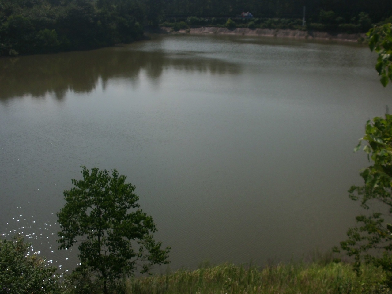 陈家湾水库