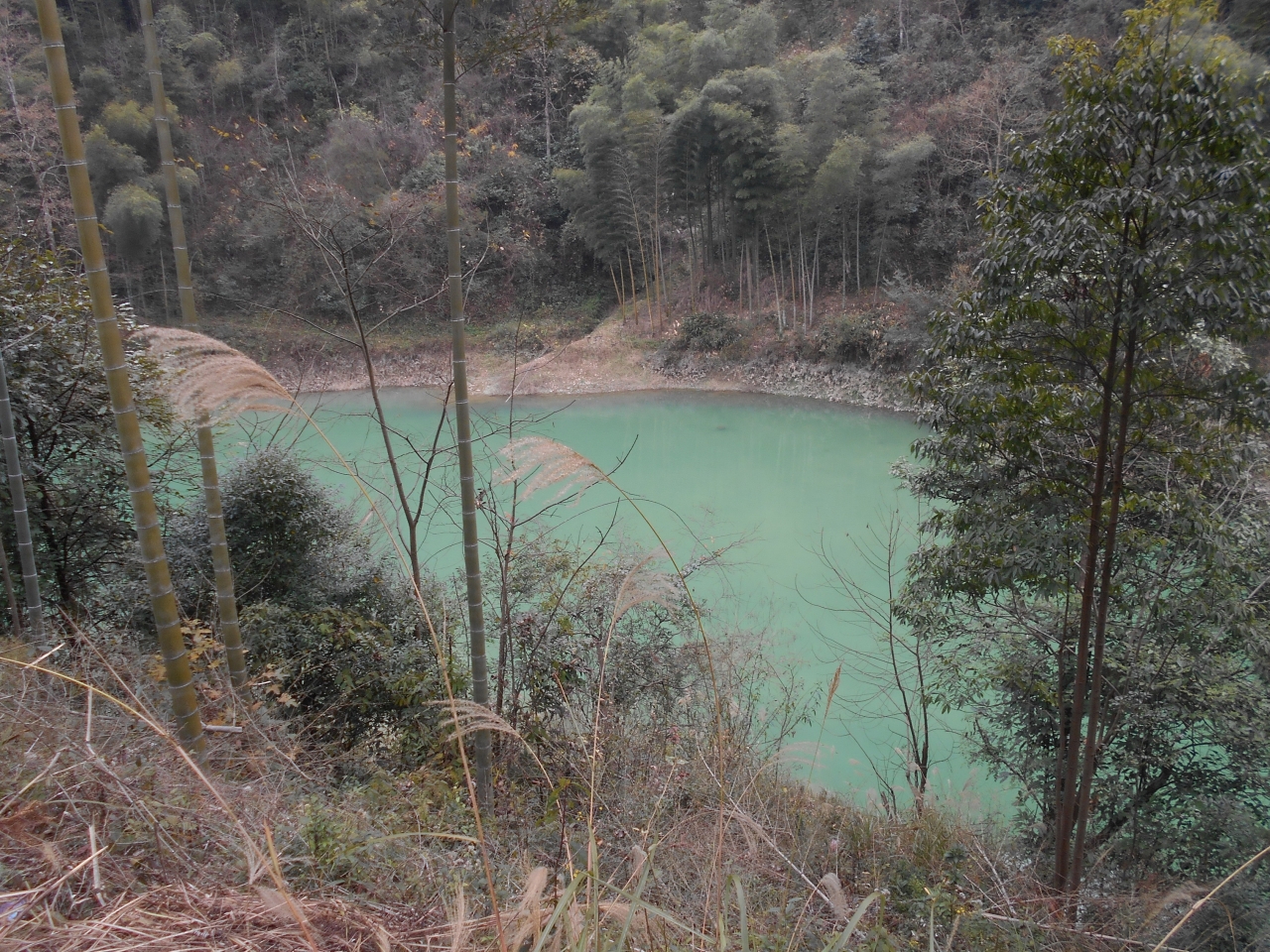 两支号水库