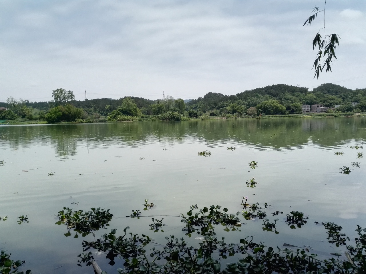 武鸣河