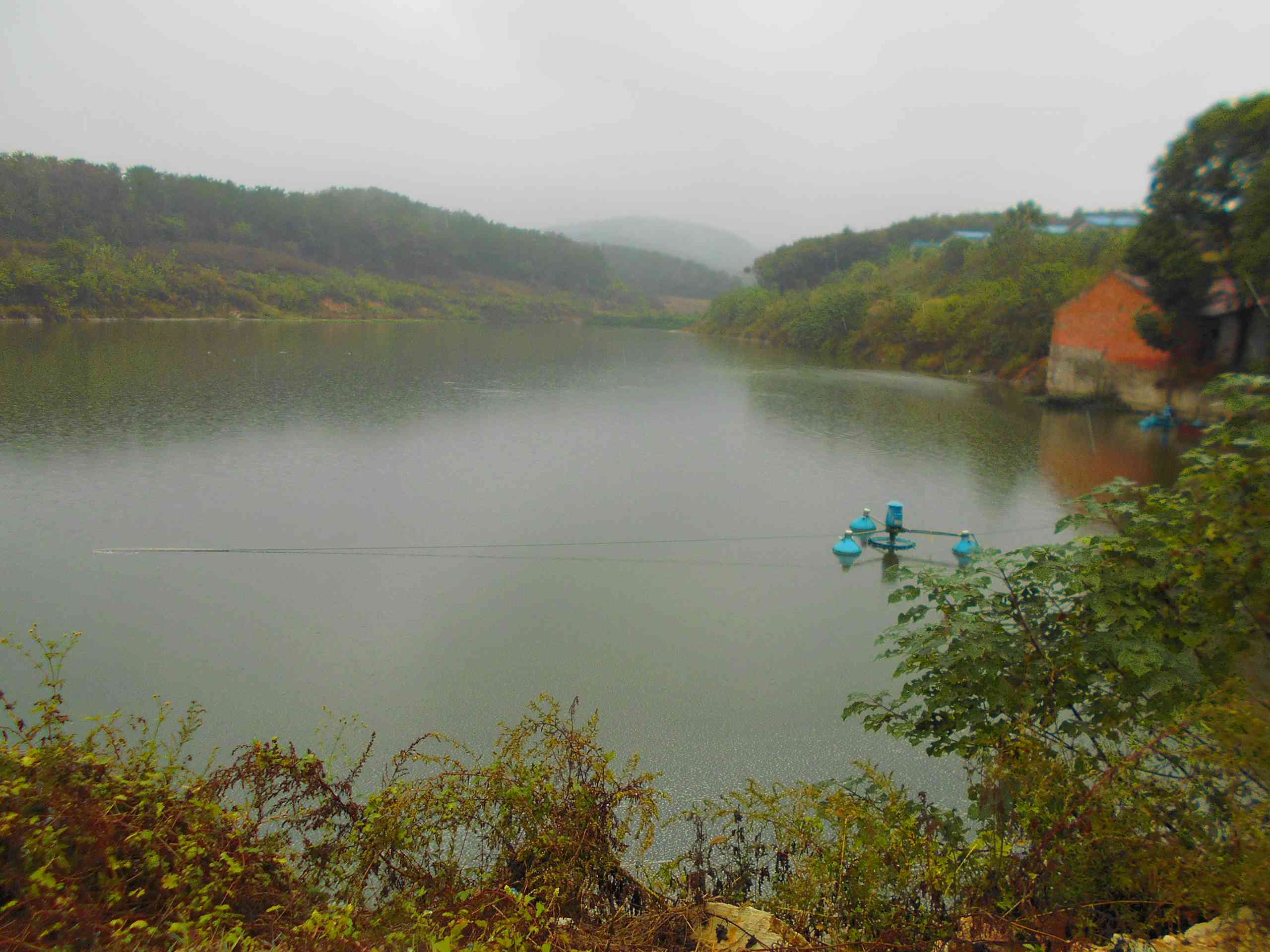 老学校水库