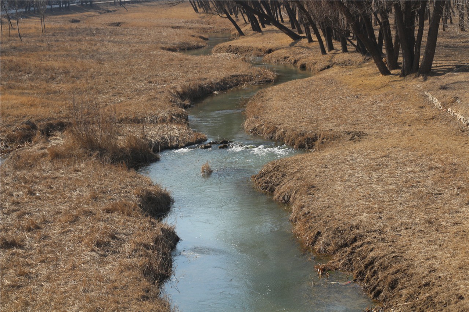 滹沱河西河河湾