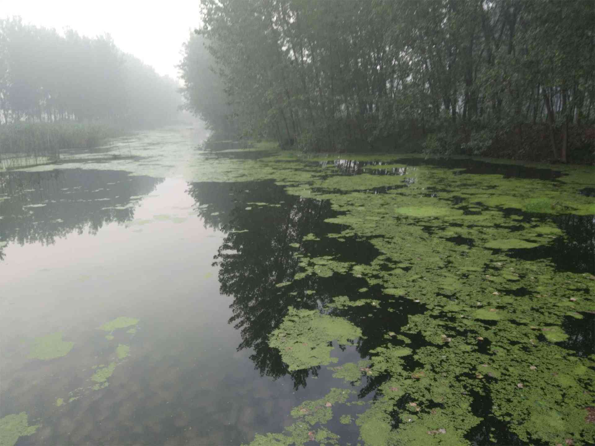 红旗河