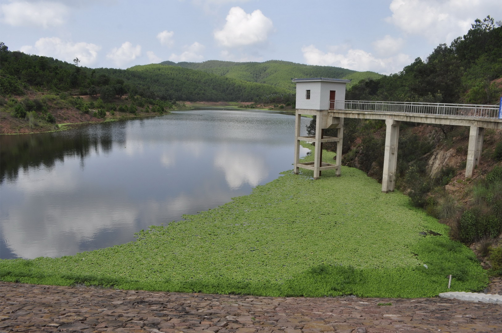 鸭子坝水库