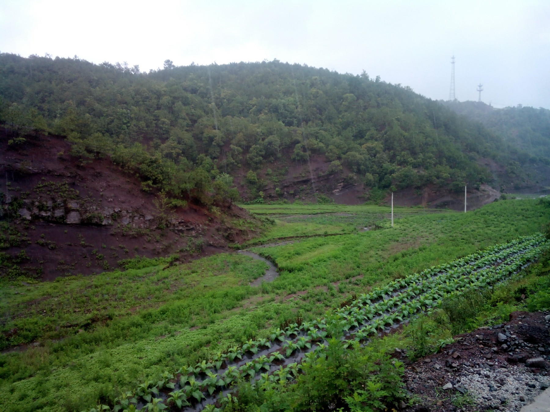 基卜河河口