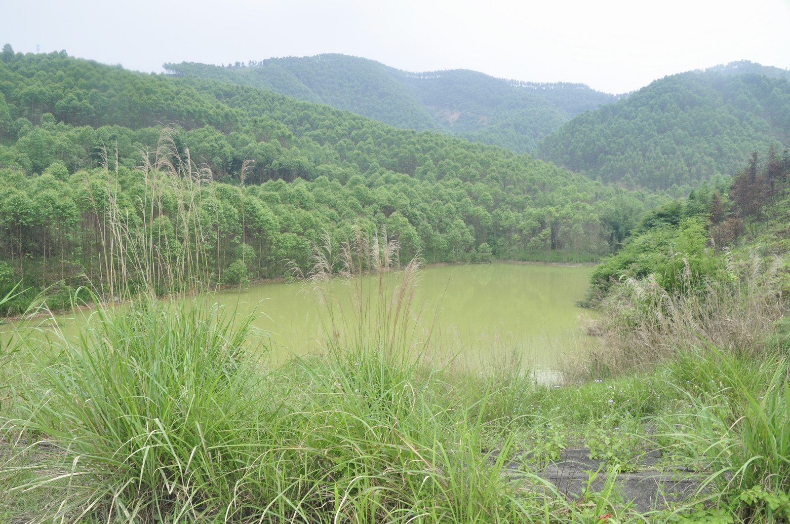 虱麻潭水库