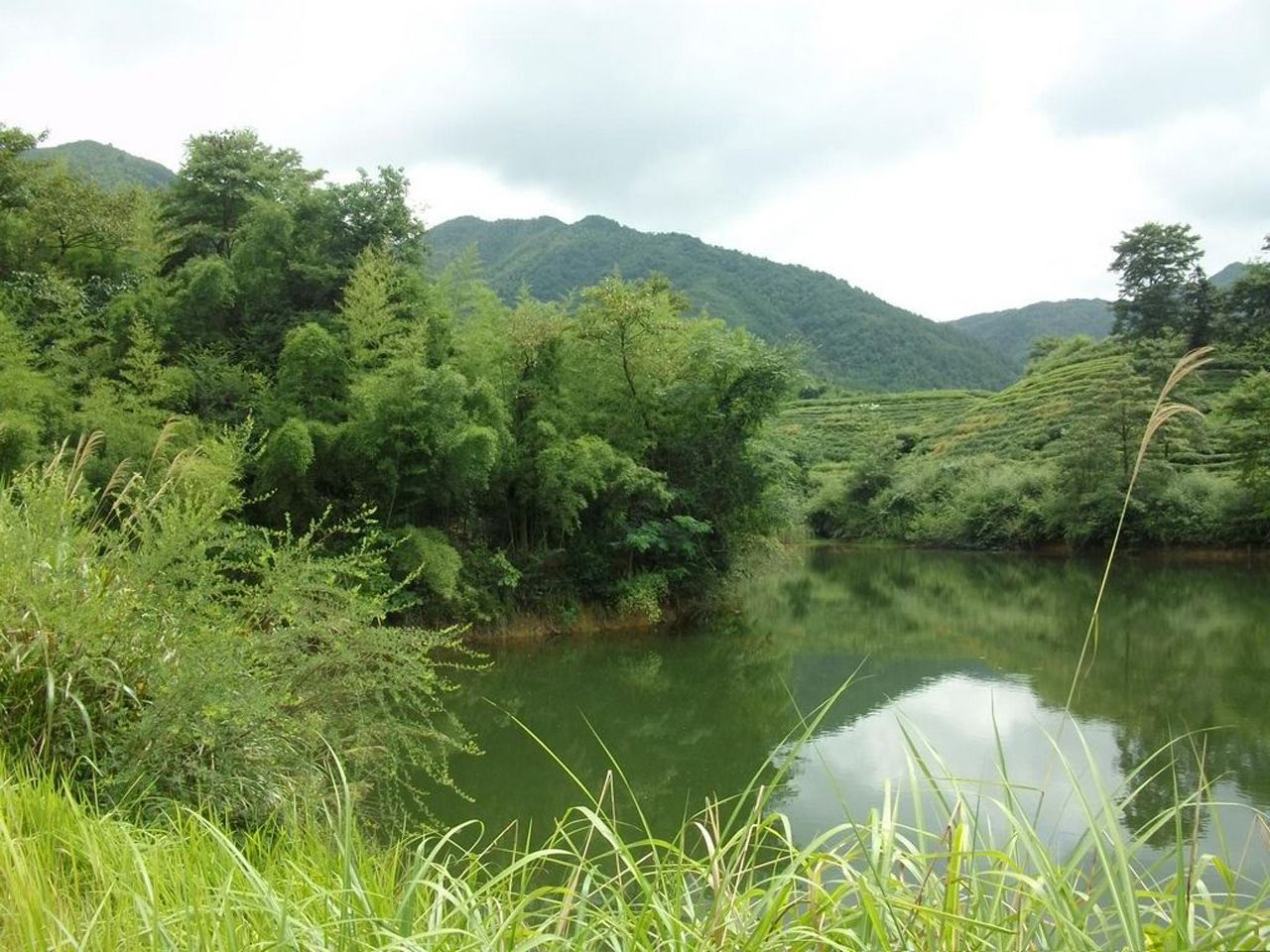 金果路水库