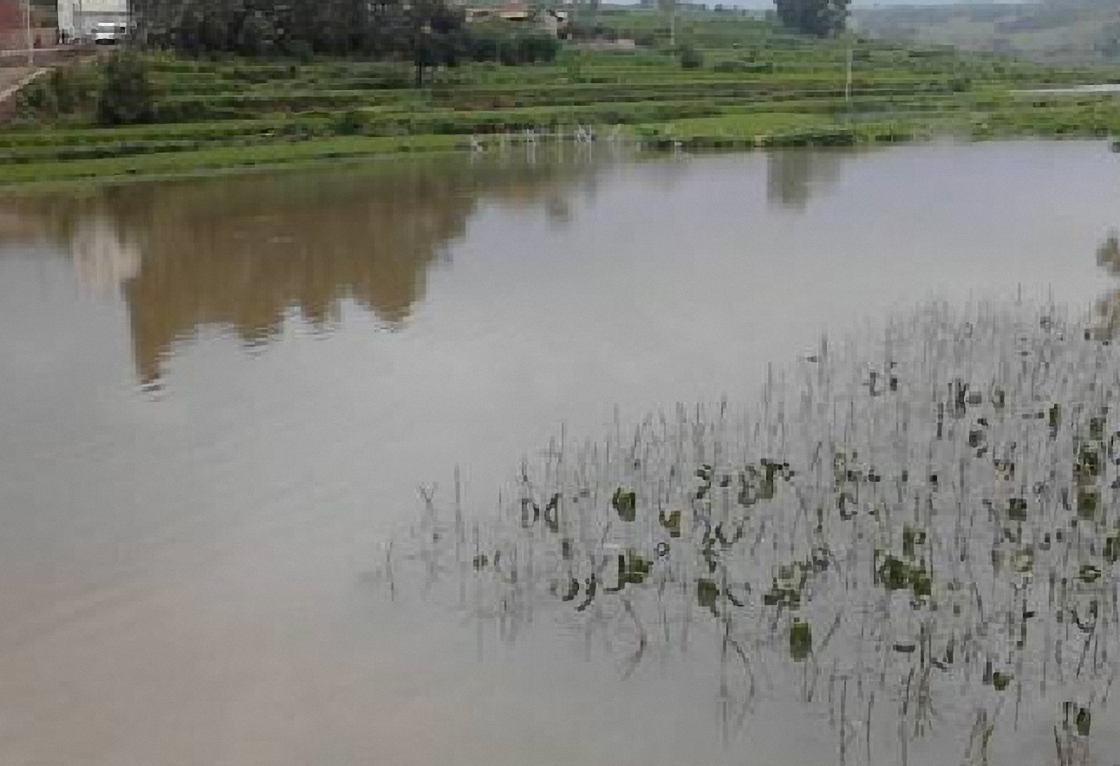 甸溪河河口