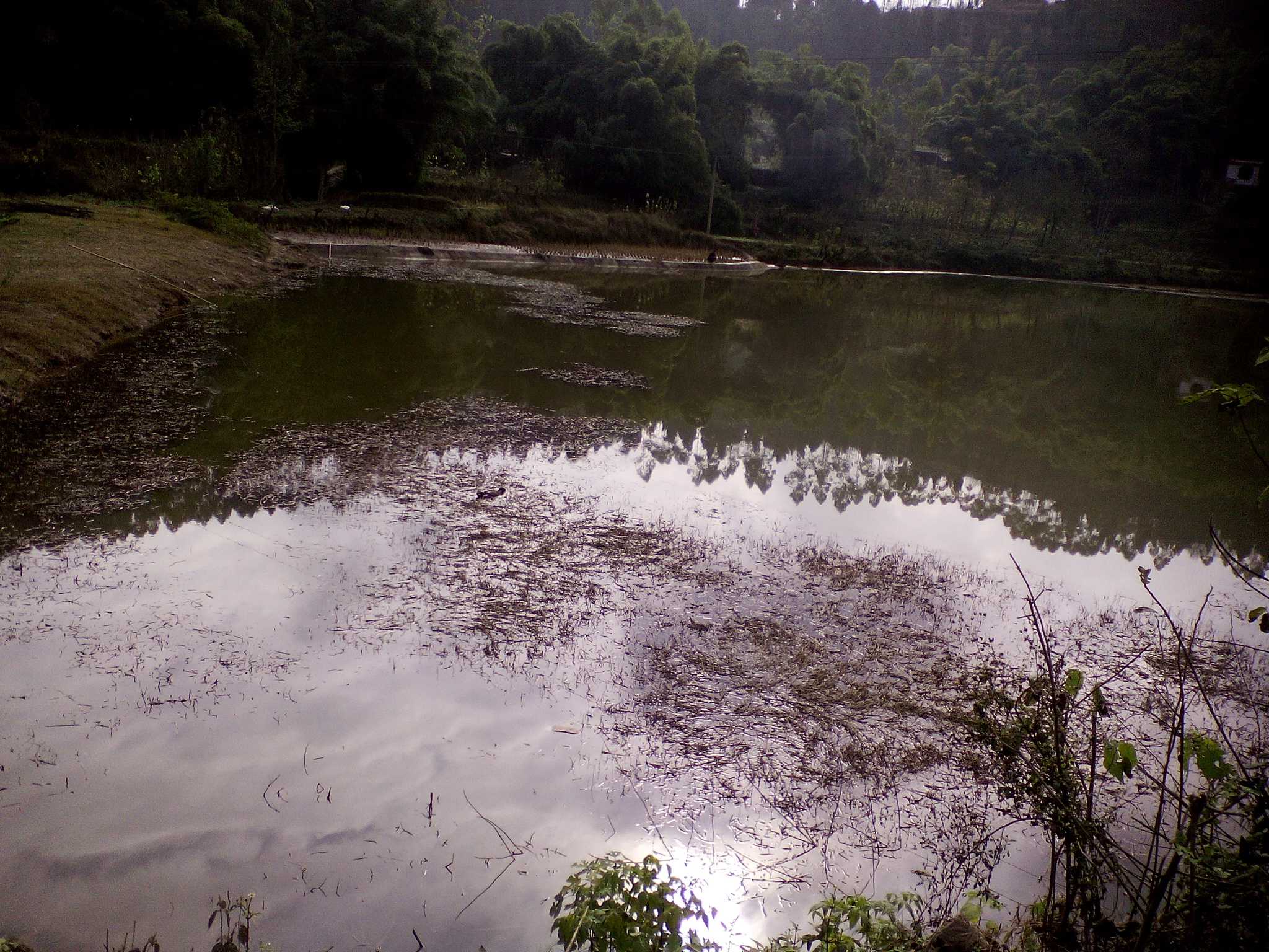 潦叶湾水库