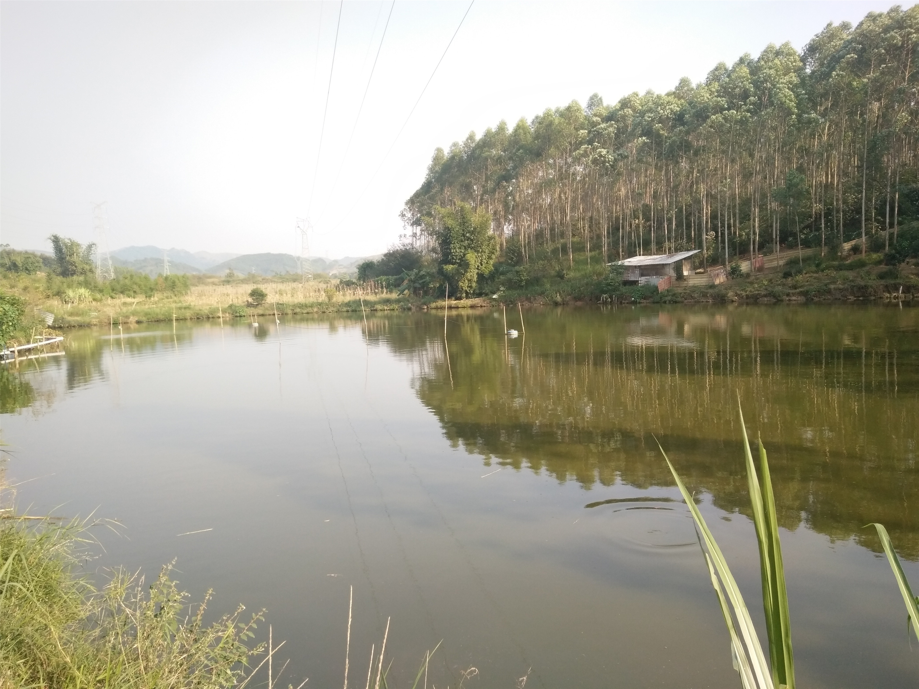 白露塘水库