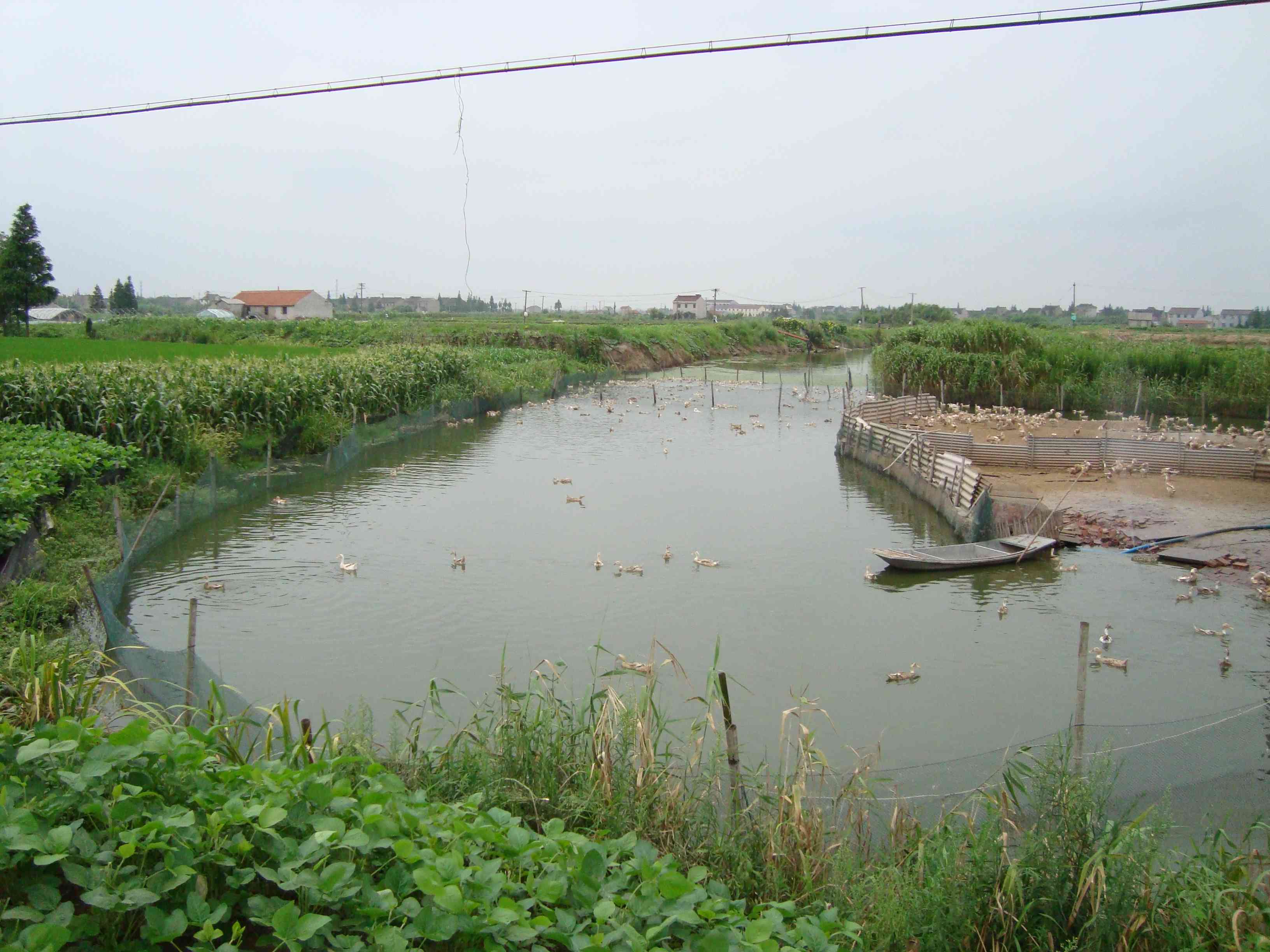 示范场转河