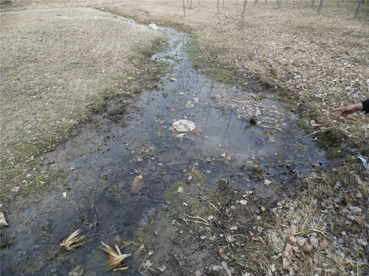 水泉沟泉