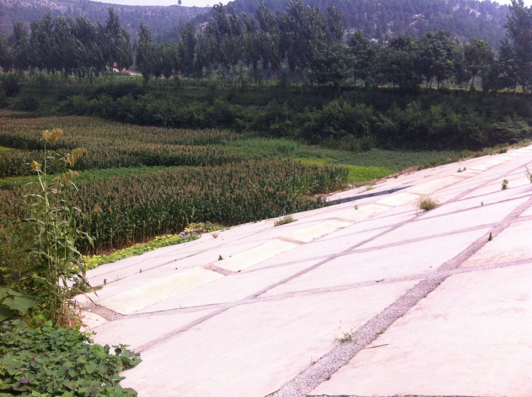 西峪水库