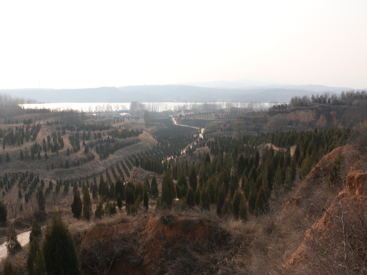 北海湿地公园