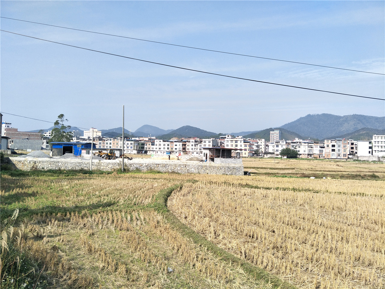 周鹿镇