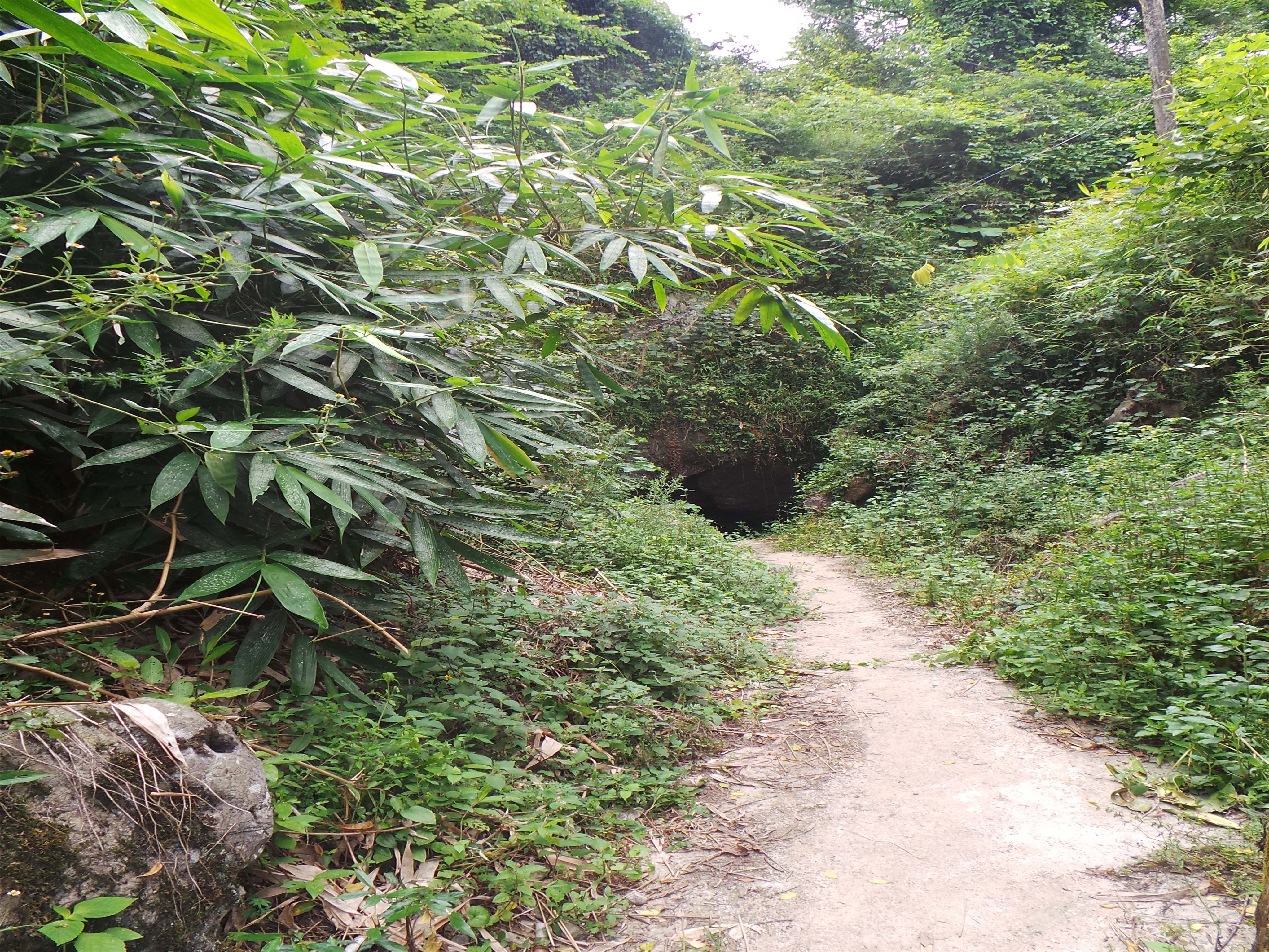 田洞泉