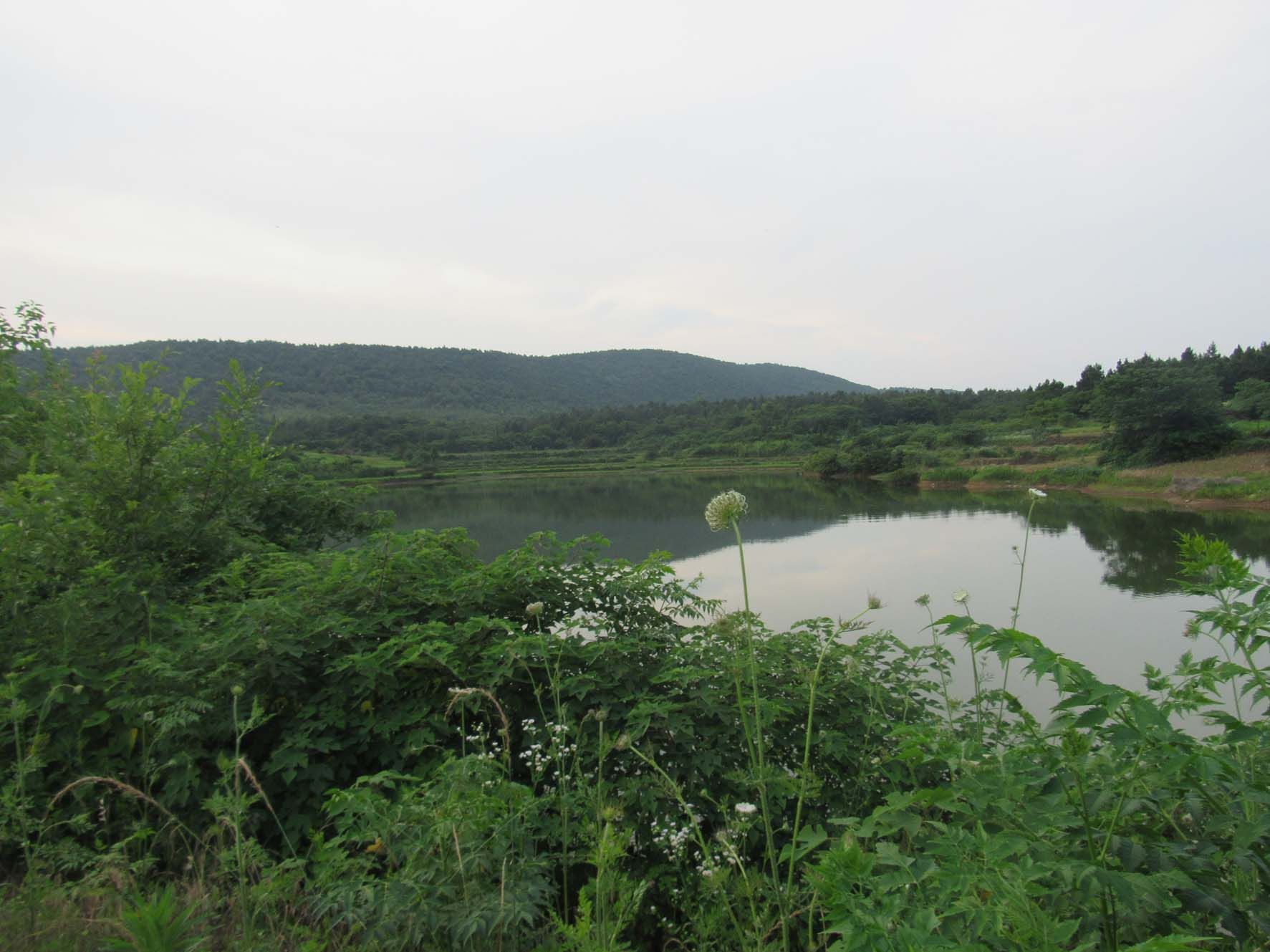 大山水库