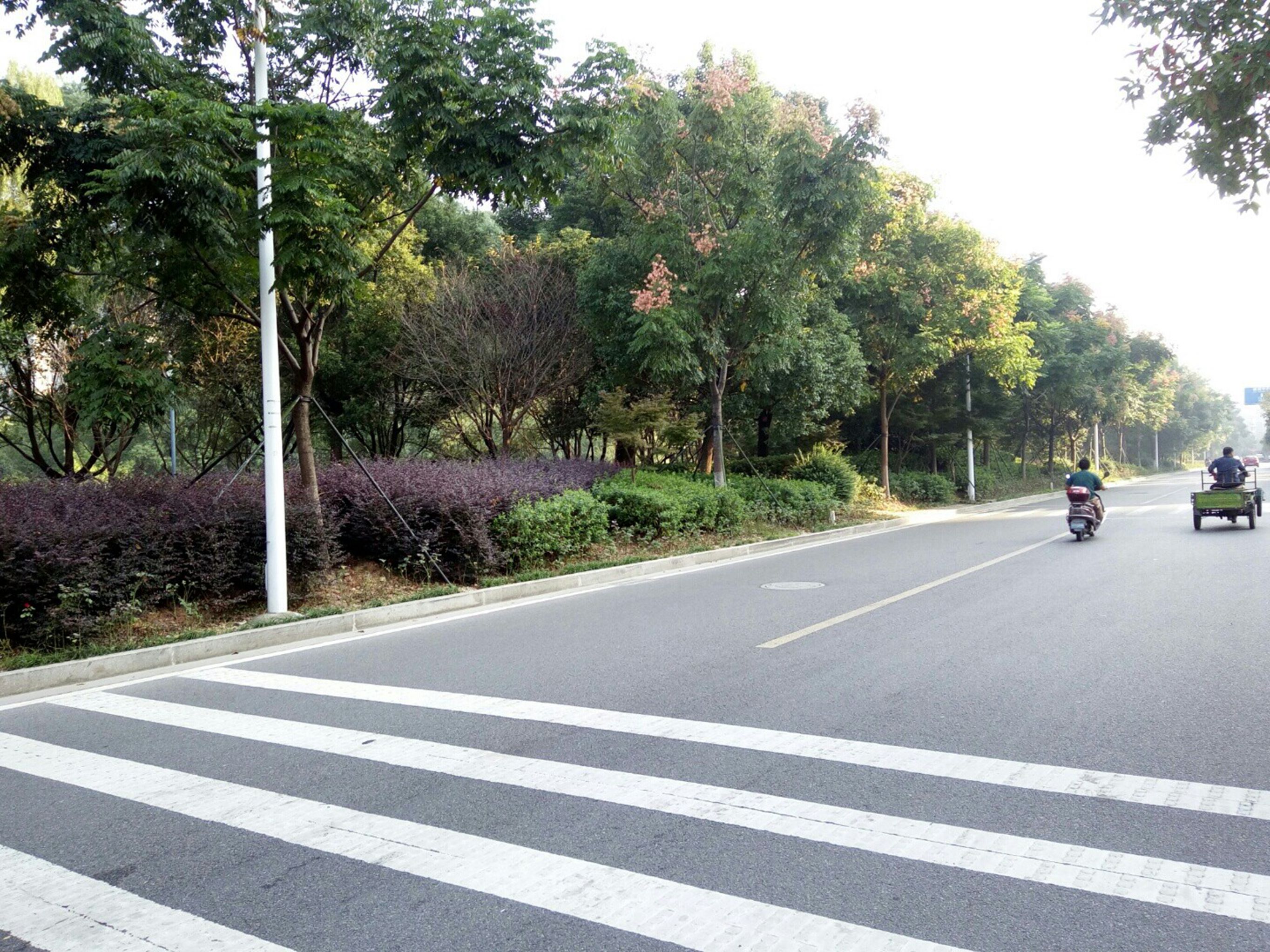 河滨路沿河绿地