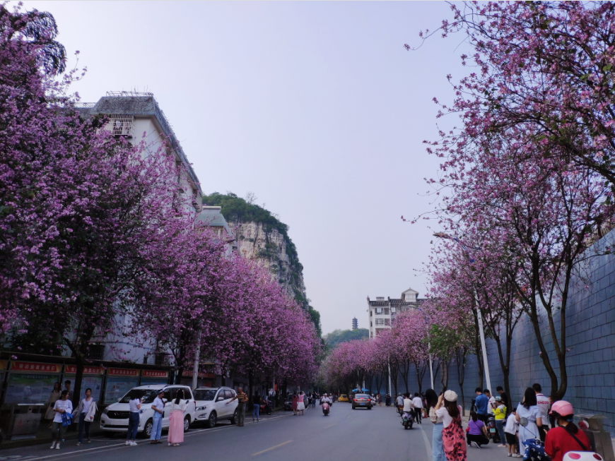 驾鹤街道