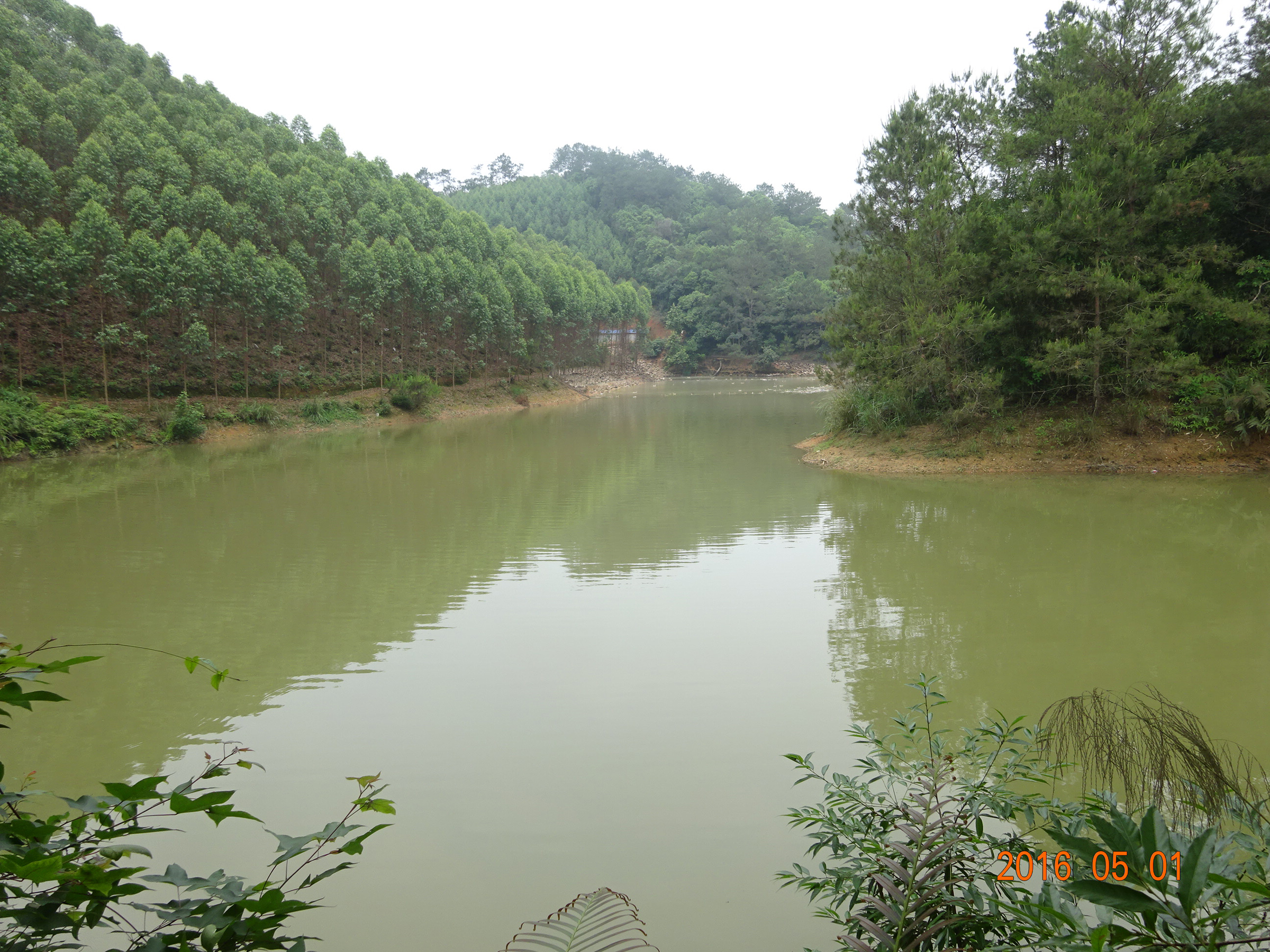 泵泵湾水库