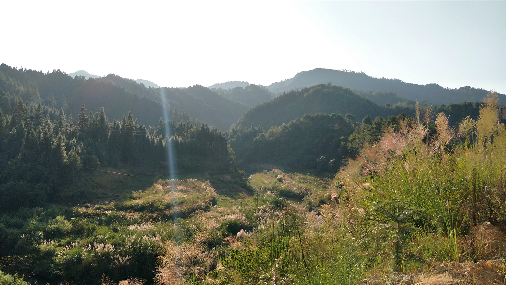 土冲河湾