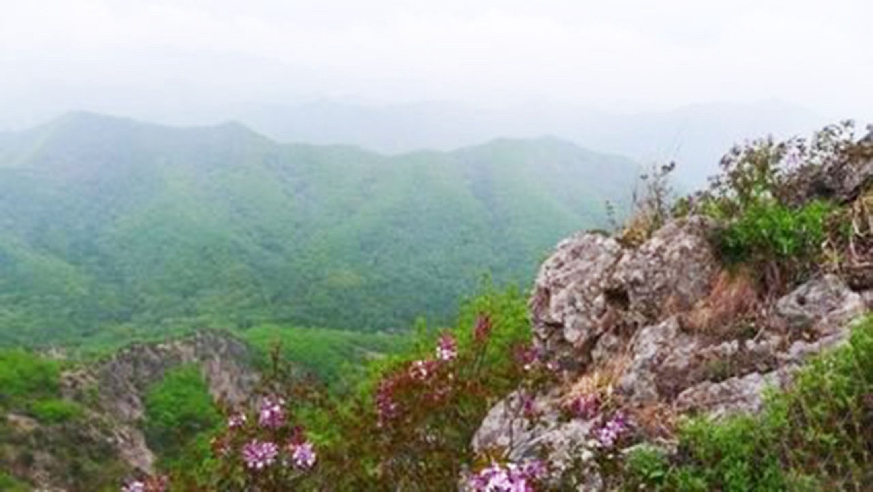 蟠龙山风景区