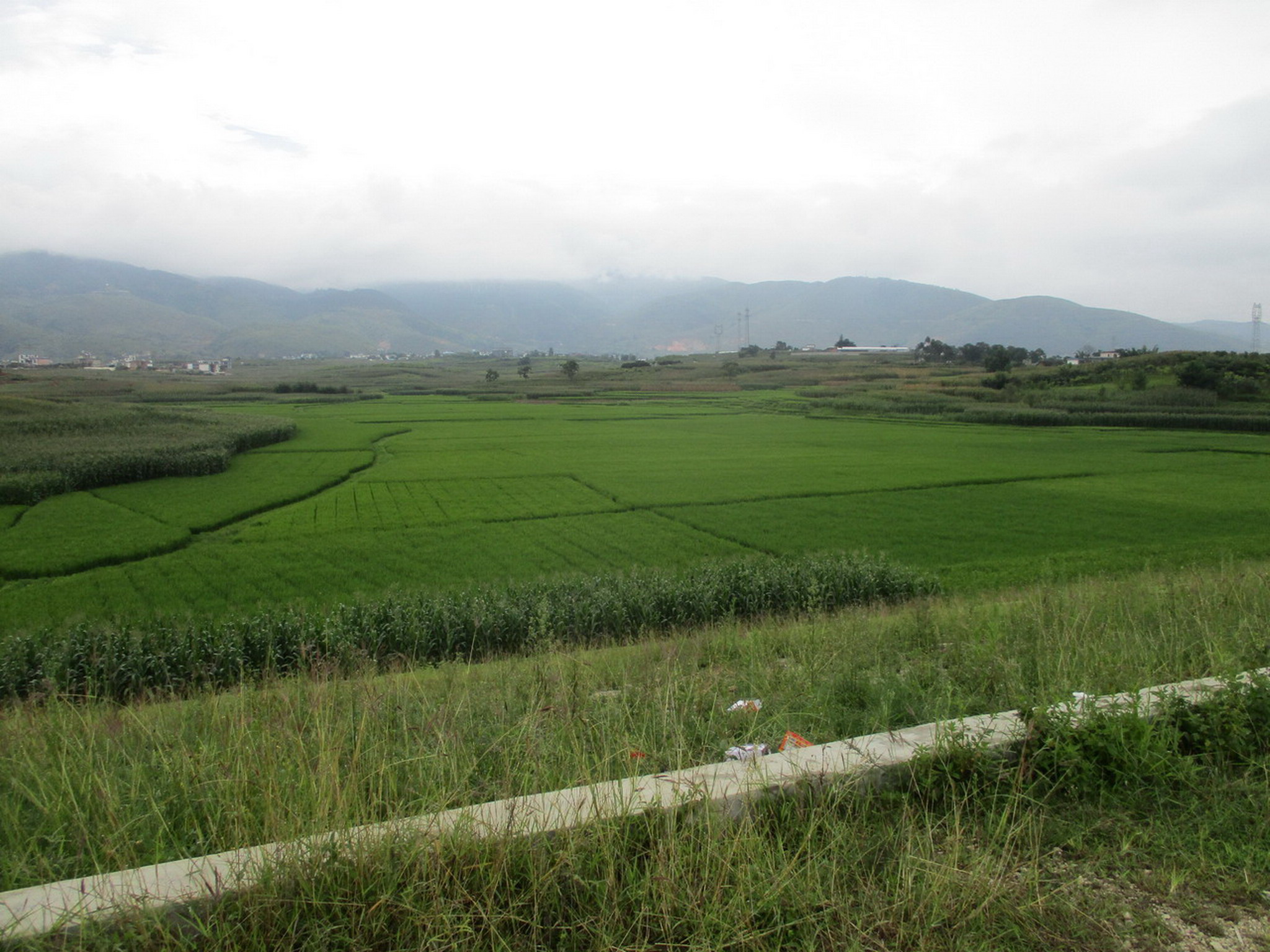 刘家海子水库