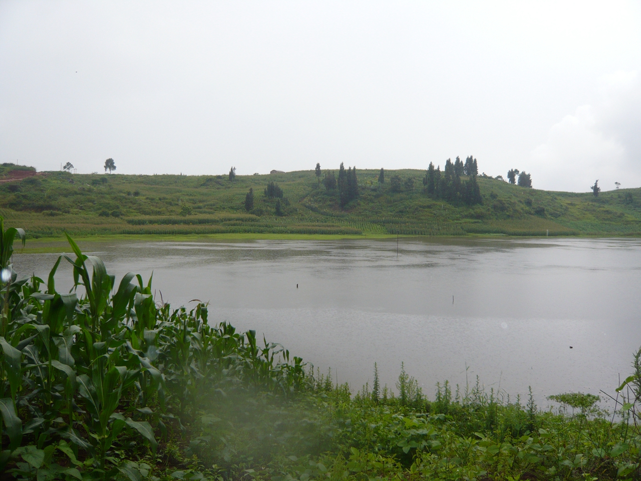 竹坑水库