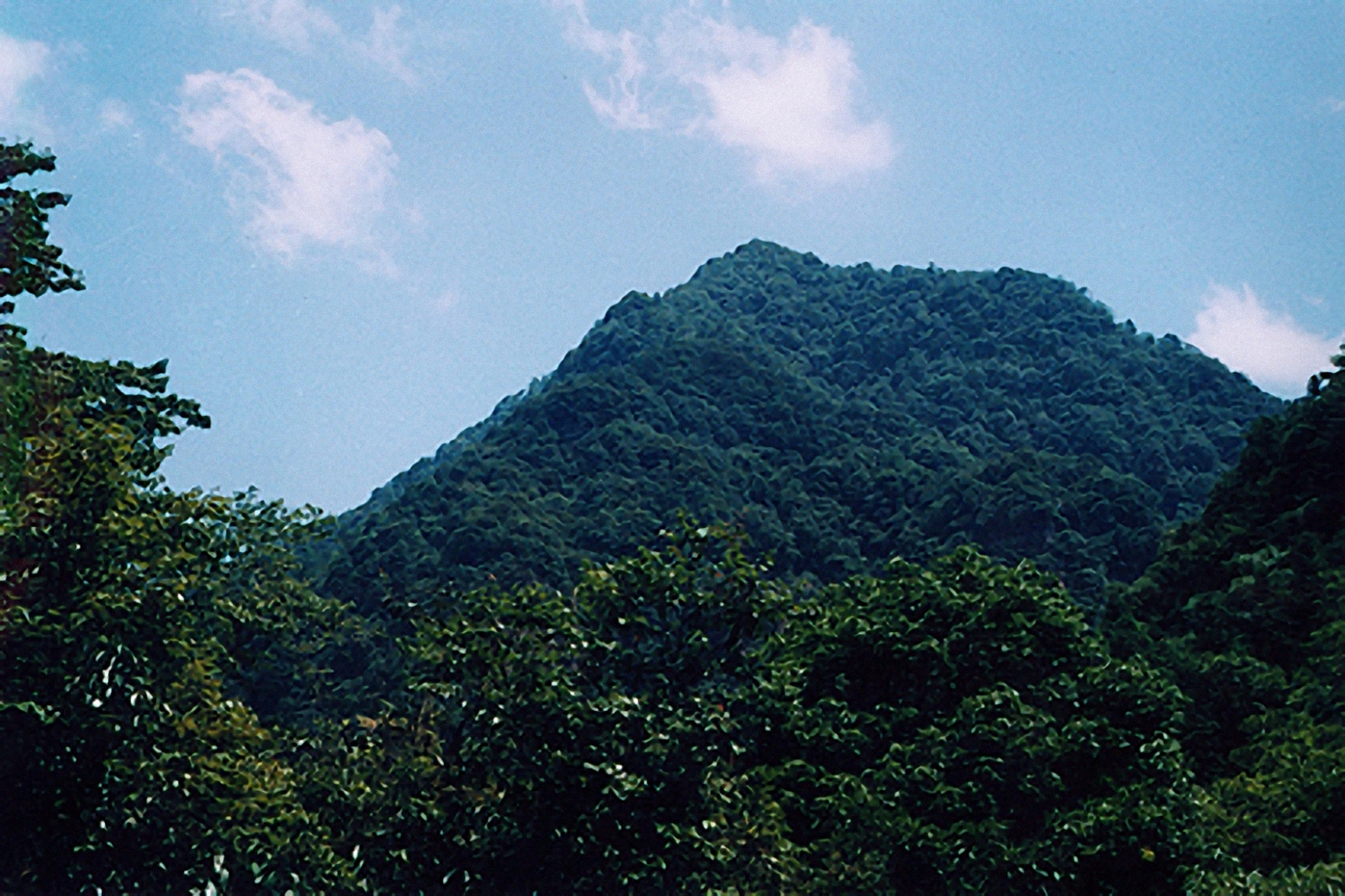 鼎湖山自然保护区