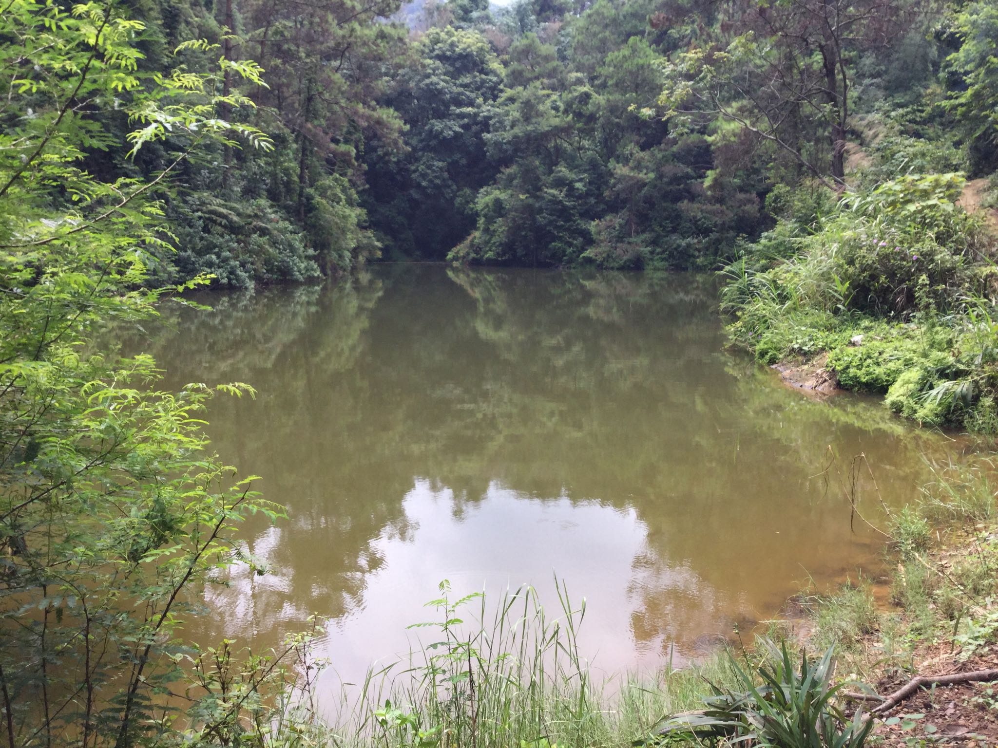 分水丫水库