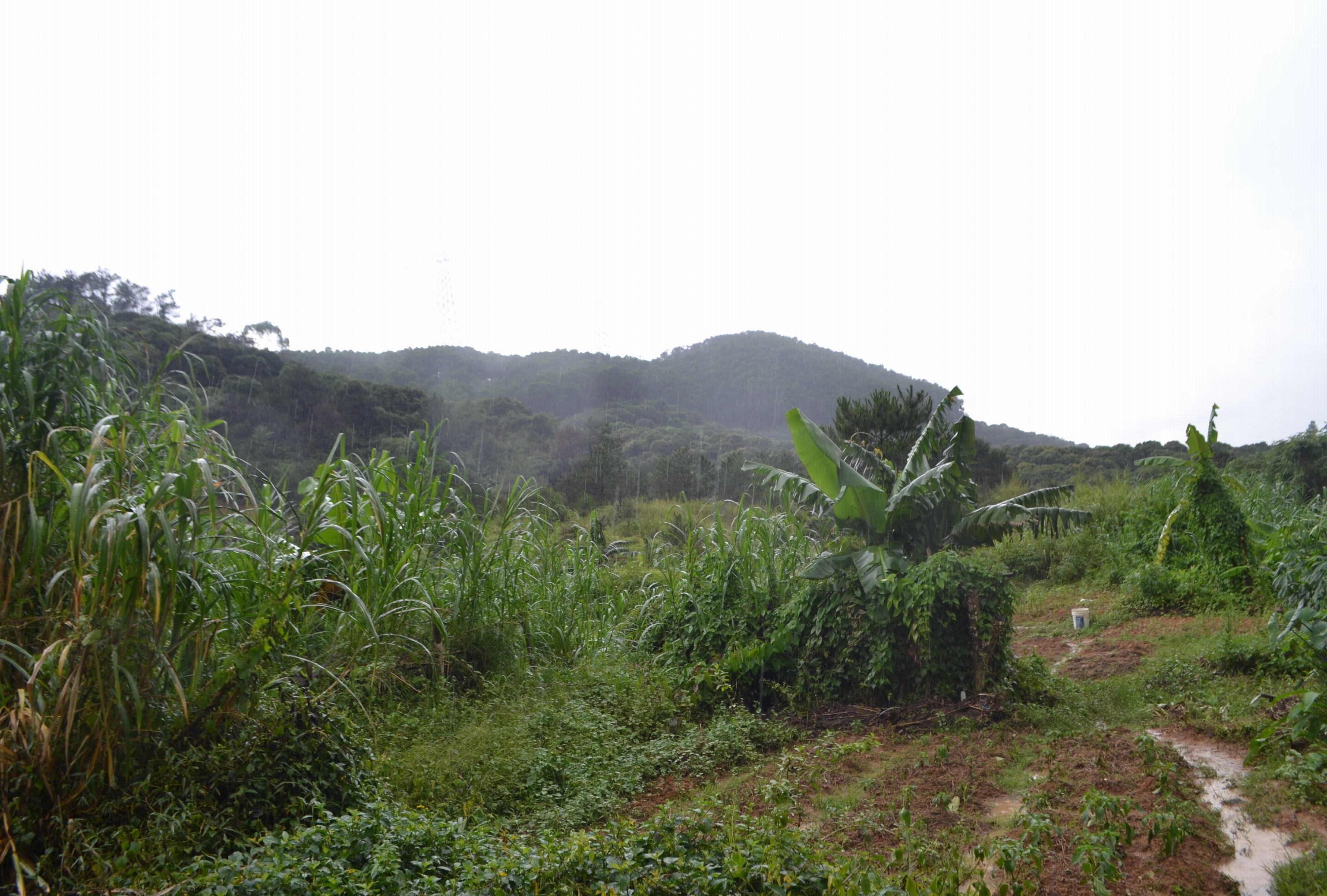 窑山村公园