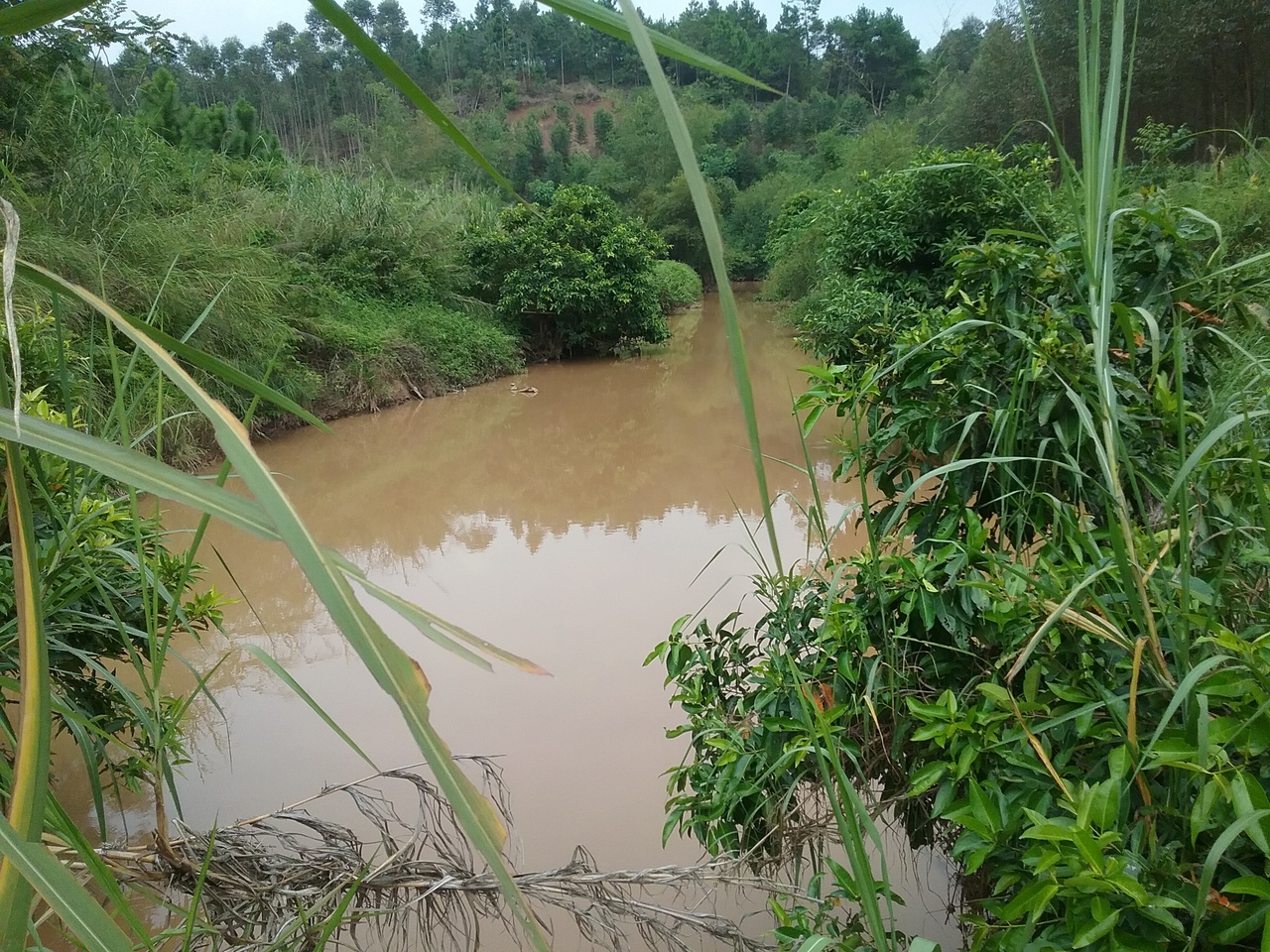 驮细河