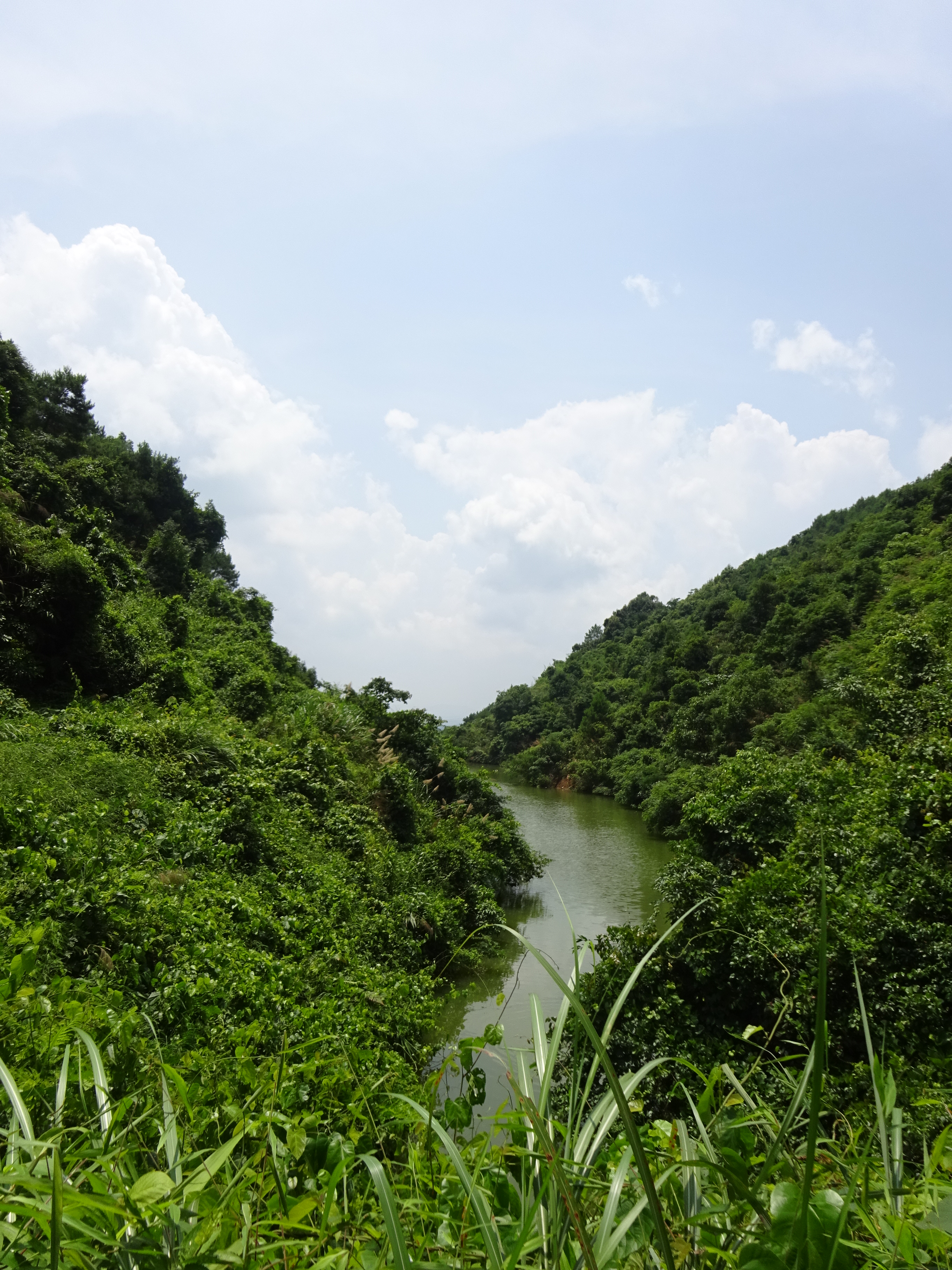 牛栏水库