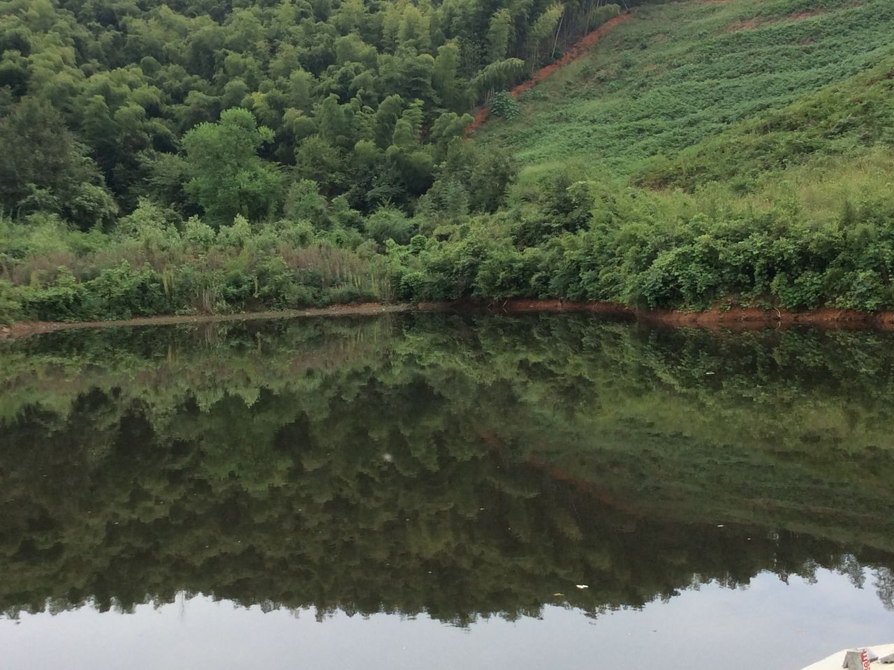 茶山岙水库