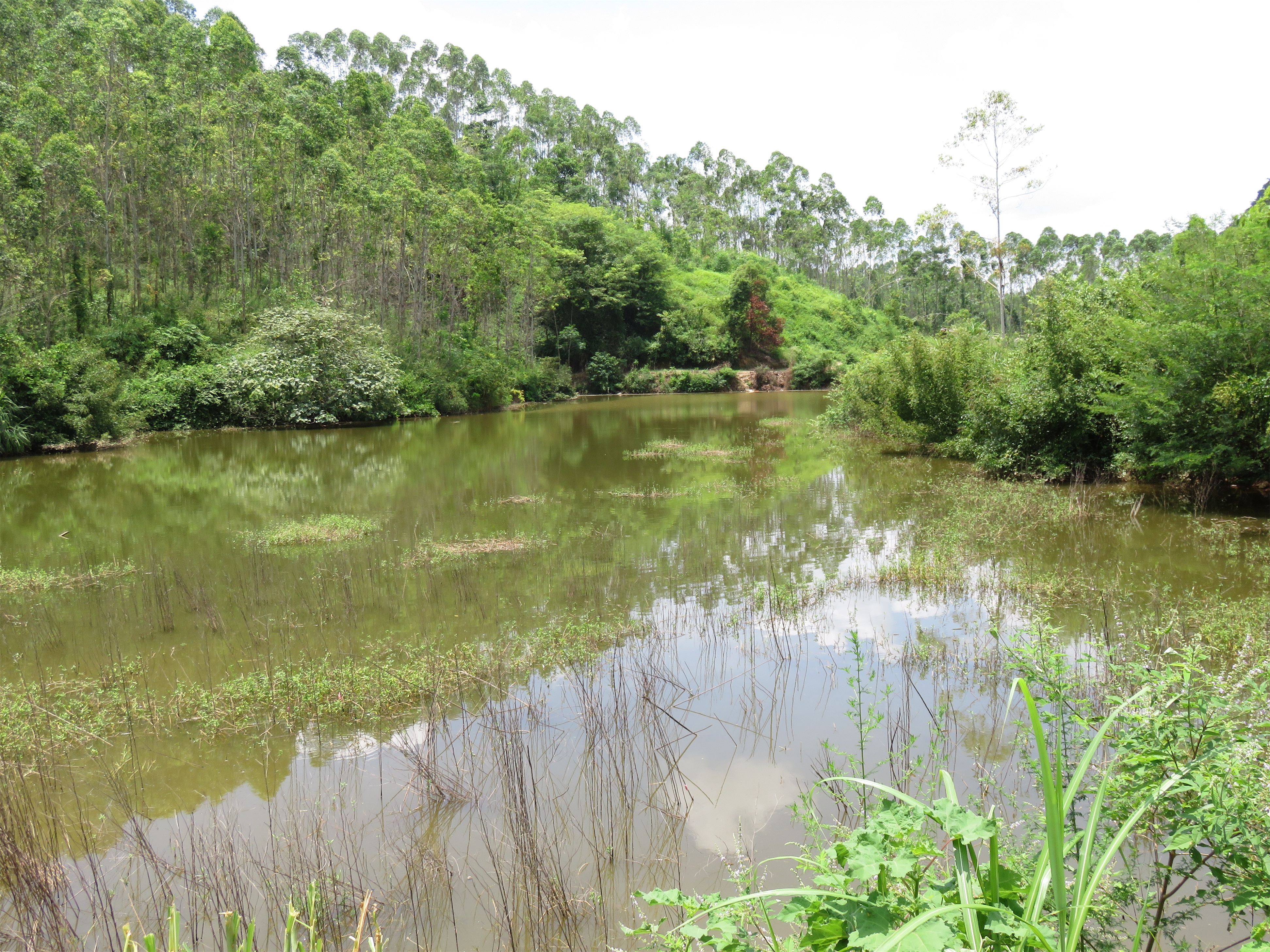 小板所水库